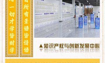 知识产权与创新发展中心