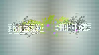 我的心上开满鲜花