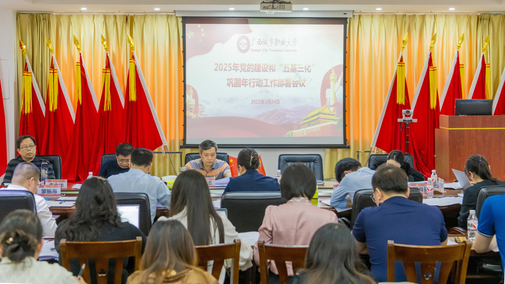 2025年党的建设和五基三化.巩固年行动工作部署会议