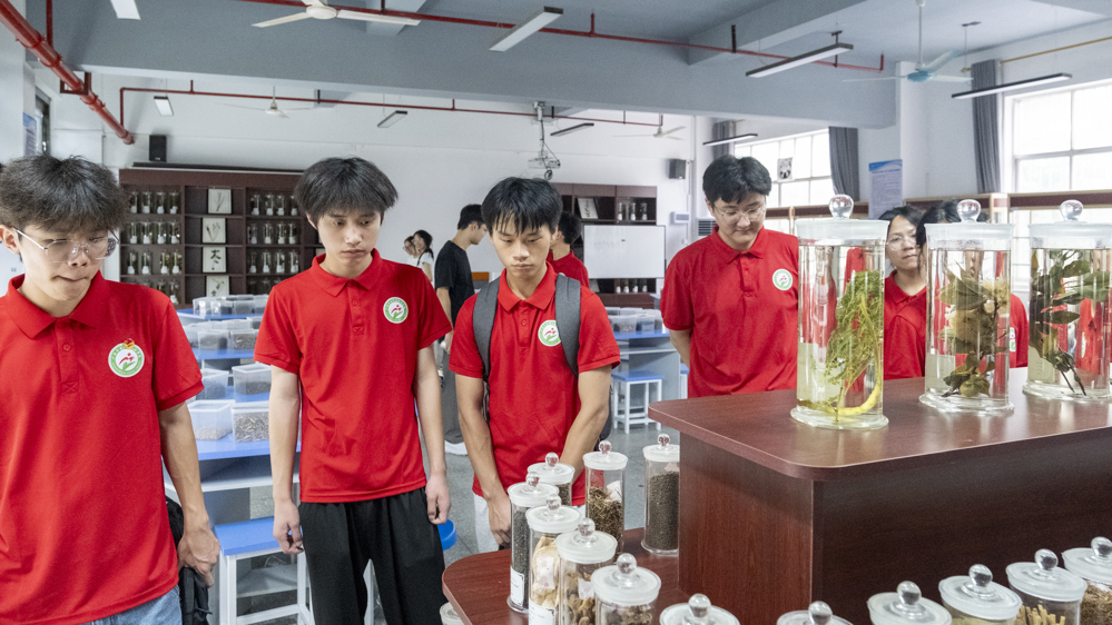 崇理楼参观（吕诗琴摄） (3)