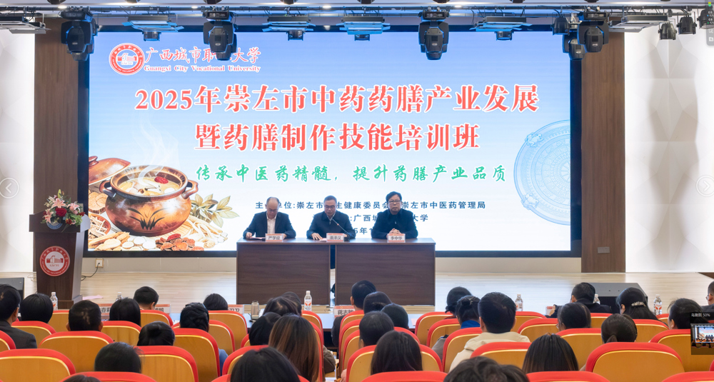 2025年崇左市中药药膳产业发展暨药膳制作技能培训班中景（王家力摄）